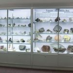 Mineral museum wallcases view