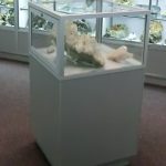 Mineral museum feature display case